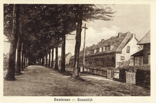 14260 Gezicht in de Beetzlaan met bebouwing en bomenrijen te Soestdijk (gemeente Soest).